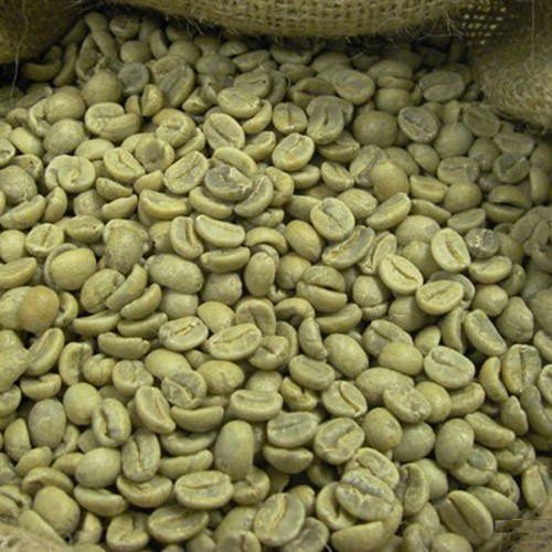 Cà phê Arabica nguyên chất 1kg - Thucoffee | BigBuy360 - bigbuy360.vn