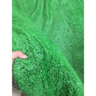 Cỏ Nhân Tạo Sợi Nilong Giá Rẻ Nhất