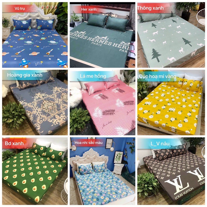 Ga Giường, Drap Giường 3 Món【RẺ BỀN ĐẸP】Ga Chun Kèm Vỏ Gối Cotton Poly Kích thước m6/ m8/ 2m2 (Ảnh thật, được chọn mẫu)