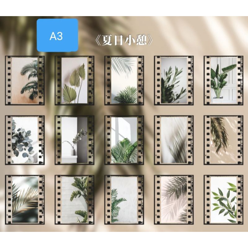 Set 10 tấm sticker nhãn dán hình cuộn phim phong cách phong cảnh thiên nhiên hoa cỏ trang trí sổ tay diy kiều diễm my