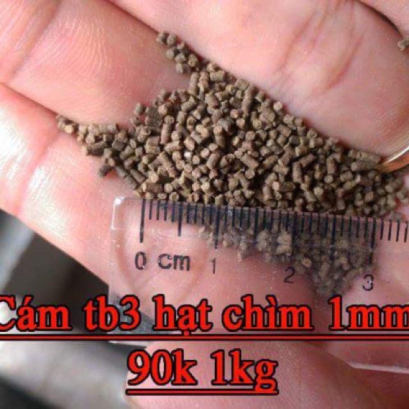 Cám Tomboy - Thức ăn cho cá cảnh