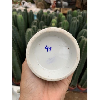 Bình đựng rượu sake - decor trang trí- gốm sứ Nhật