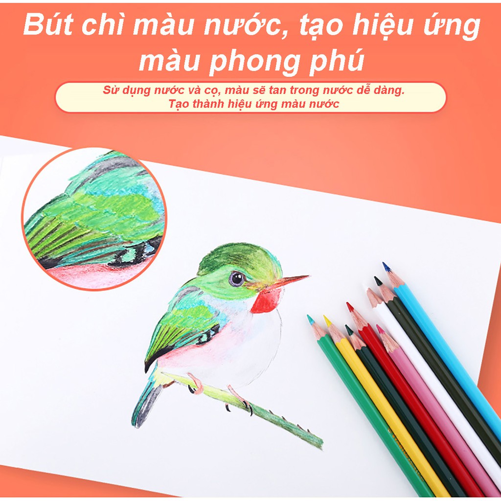 Bút chì màu nước STABILO Aquacolor 12 màu (CLW1612B)