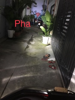 LED PHA TẢN NHIỆT ĐUÔI CÔNG 2 TIM