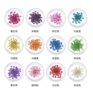 Set hoa khô nail trang trí móng 12 màu