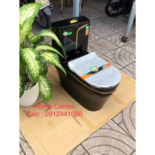 Bồn cầu cao cấp