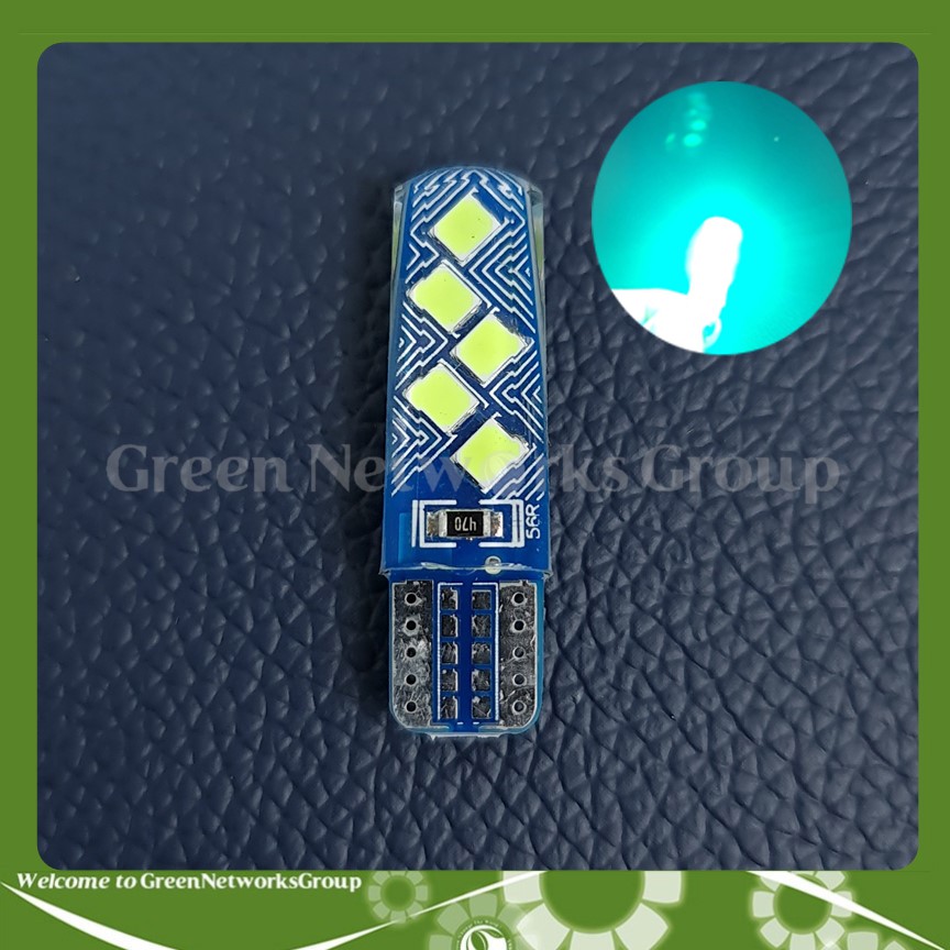 Xi nhan demi T10 kiểu Zigzag Greennetworks ( 1 Cái )