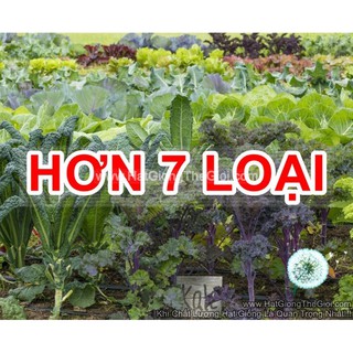 5GR 1000.HẠT Hạt Giống Cải Xoăn Kale Crazy Mix (| B19*W55)