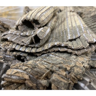 Đỗ trọng loại 1 - 100g