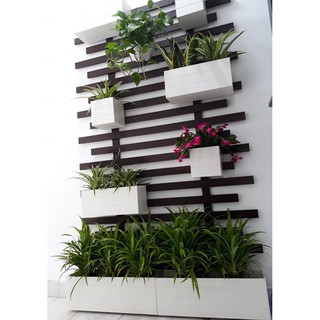 chậu hoa composite chống nước vuông