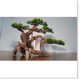 Lũa Bonsai Lá Nhựa - Trang Trí Bể Cá - lũa trang trí  - [ Xưởng Thủy Sinh TS Online37 ]