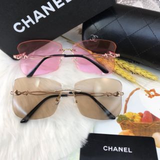 Kính ốc bướm hot trend