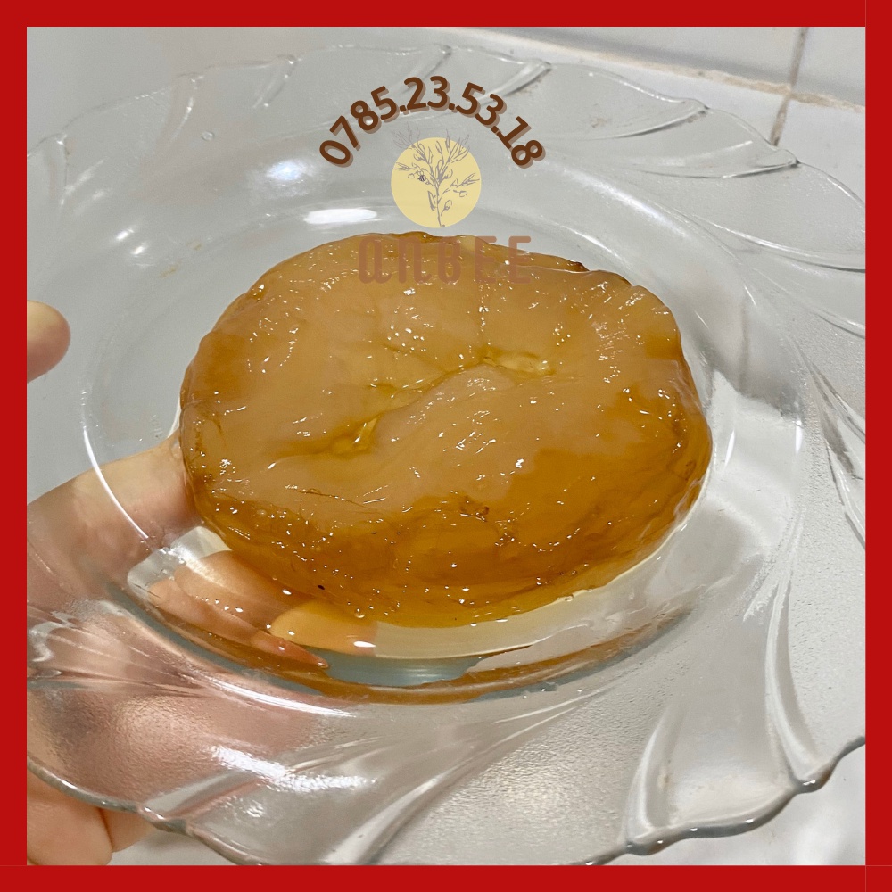 Con giống Scoby khỏe mạnh - Trà Kombucha hữu cơ - Detox
