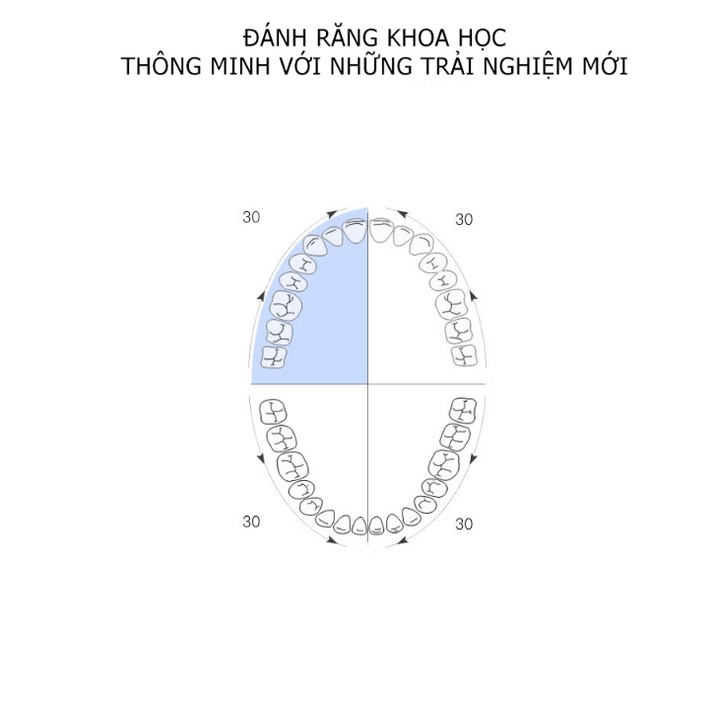 Đầu bàn chải đánh răng điện Philips - HX6011