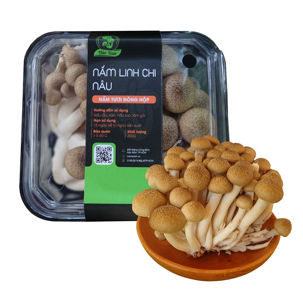 Nấm Linh Chi Nâu Tươi Ngon - Nấm Ngọc Châm Nâu Bổ Dưỡng (Hộp 125gr - 500gr) Chuyên Chế Biến Lẩu - Nấm Xanh