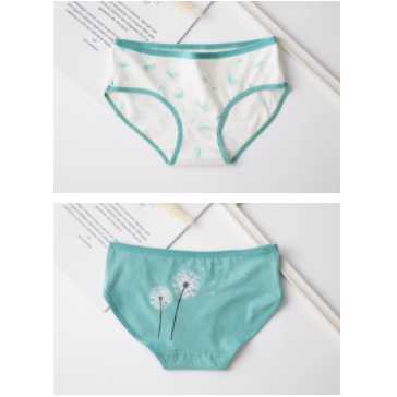 Quần lót nữ cotton cao cấp co giãn kháng khuẩn in hình đáng yêu dễ thương QL27 | BigBuy360 - bigbuy360.vn