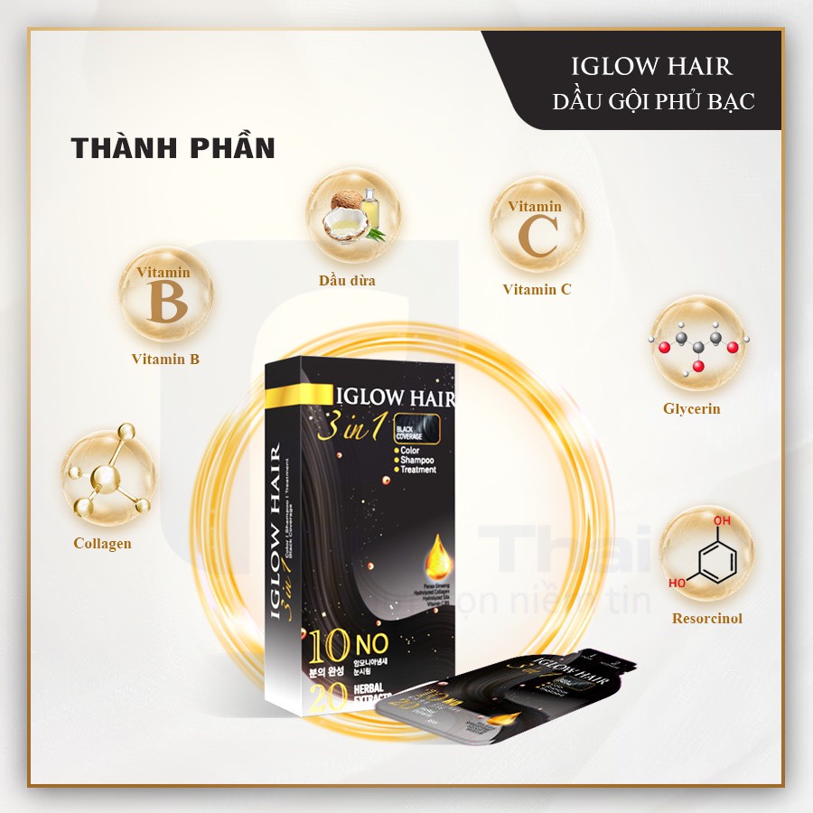Dầu gội phủ bạc Iglow Hair 3in1 white hair cover số 1 tại Hàn Quốc - Út store