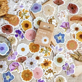 Hộp 46 sticker hoa đồng nội, cúc họa mi, hướng dương - Flowers mẫu số 3