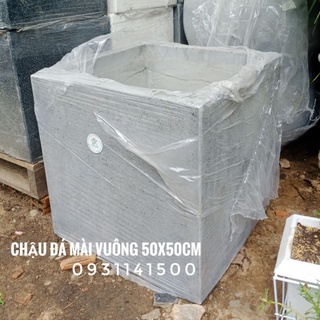 Chậu xi măng đá mài vuông/ tròn 50cm