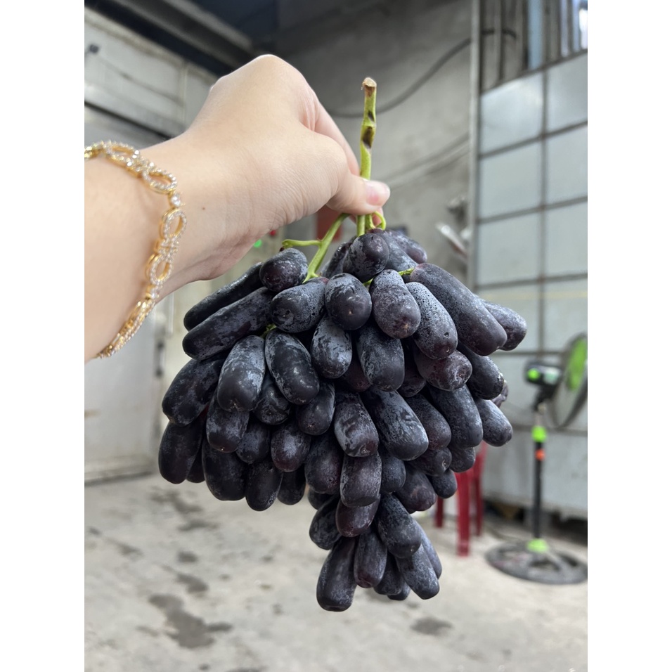 Nho Móng Tay Mỹ 100% Tươi Ngon Nhập Khẩu Từ Mỹ