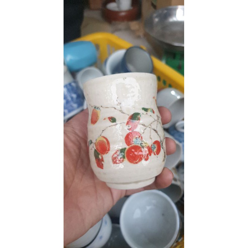 Ly chậu trồng sen đá