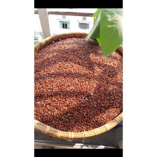 Gạo lứt rang củi ( gạo ngon ko nhuộm )