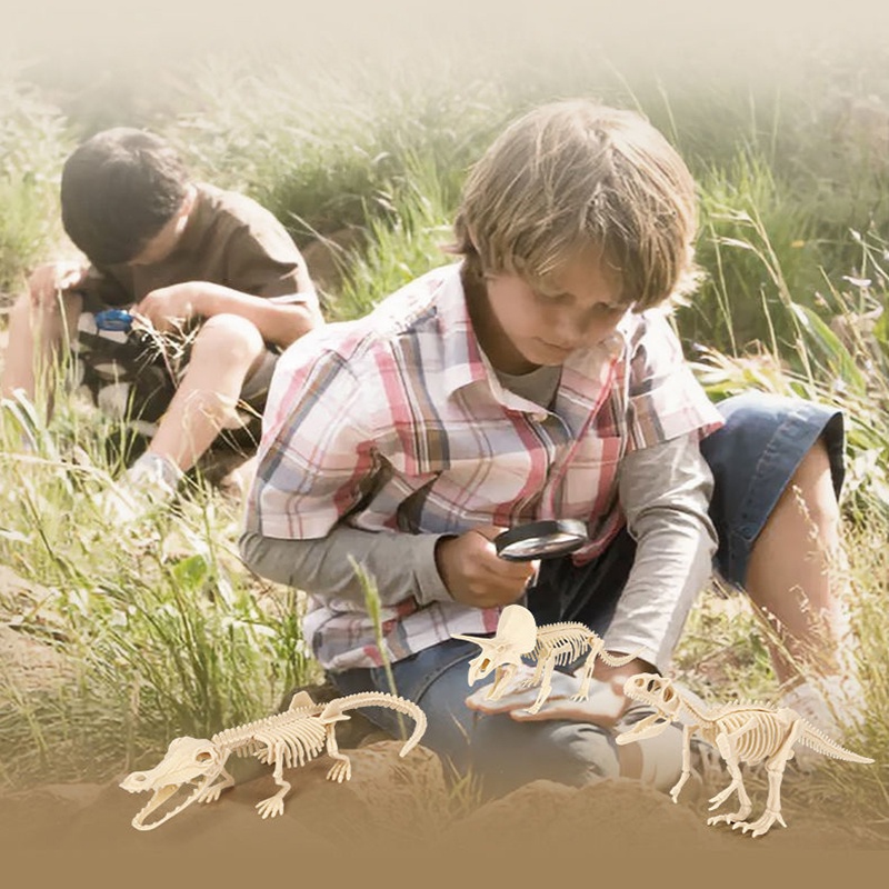 Bộ Đồ Chơi Hóa Thạch Khủng Long Tự Lắp Ráp Cho Bé