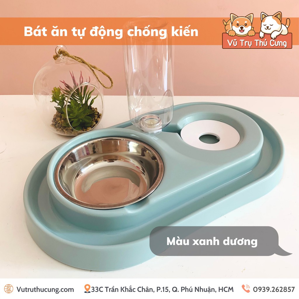 Bát ăn CHỐNG KIẾN kèm bình nước tự động cho Chó Mèo | Bát ăn tự động kèm bình nước 500ml