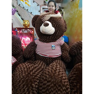 Gấu bông Teddy 2M