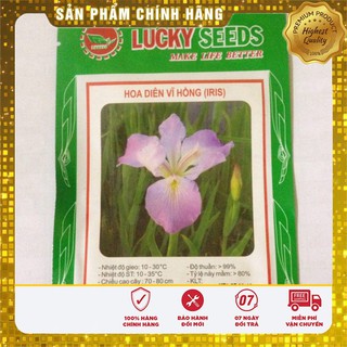 Hạt Giống Hoa Diên Vĩ Hồng