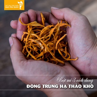 ĐÔNG TRÙNG HẠ THẢO TƯƠI