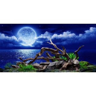 Tranh 3D dán bể cá