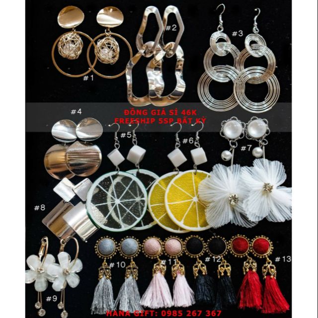 [Hana Gift] Khuyên tai cá tính 15K