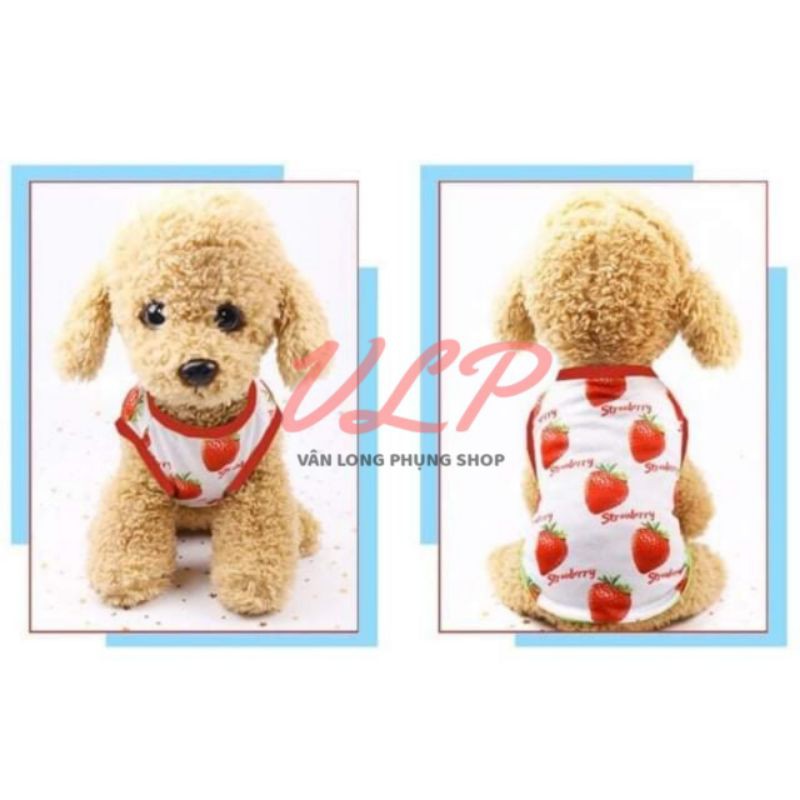 SET ÁO &amp; VÁY CHO THÚ CƯNG - QUẦN ÁO CHÓ MÈO HÌNH TRÁI DÂU
