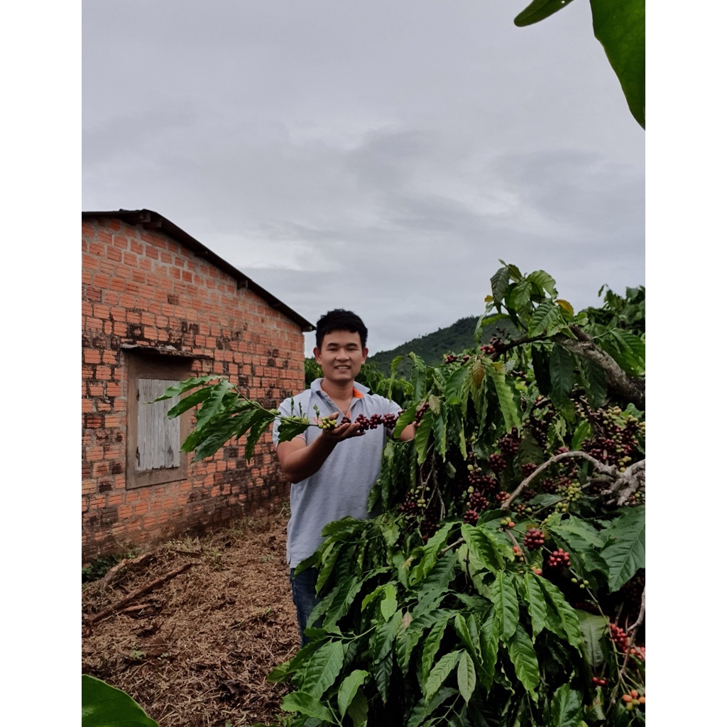 Cà Phê Núi Lu x1 (500gr) | BigBuy360 - bigbuy360.vn