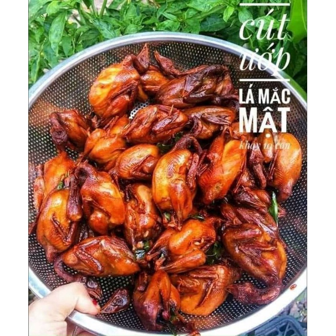 CHIM CÚT ƯỚP LÁ MẮC MẬT.khay 10con. (giao hỏa tốc)
