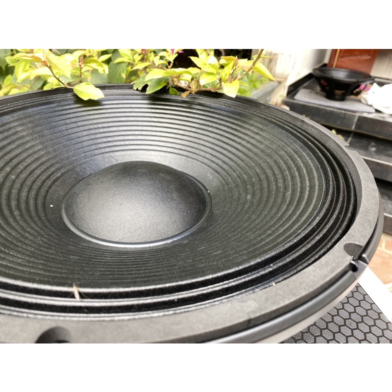 Bass 40 từ neo