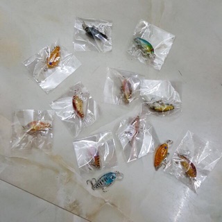 mồi câu cá chu vi siêu nhậy