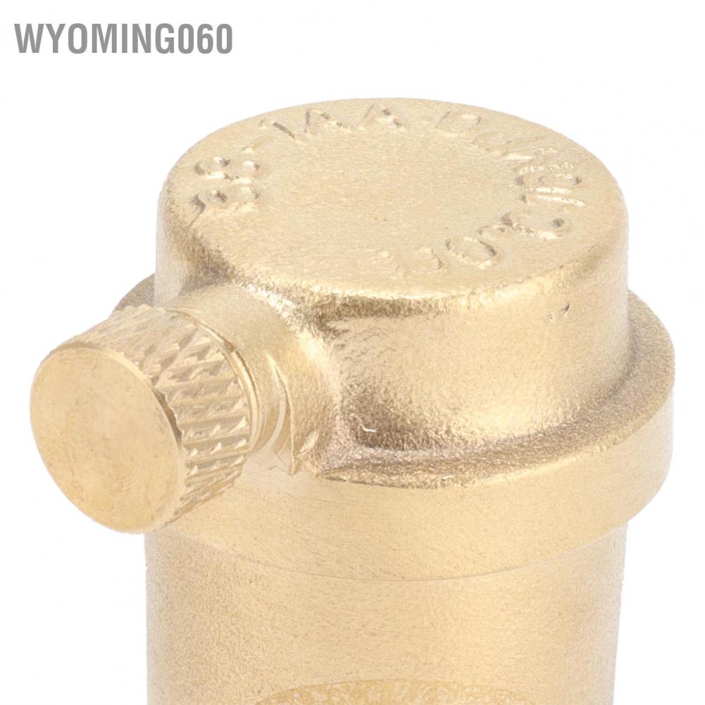 Wyoming060 G1 / 2 Van xả khí chủ đề nam thông gió tự động cho hệ thống HVAC sưởi ấm t