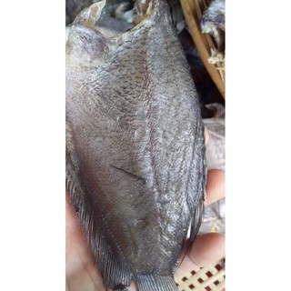 Khô Cá Sặc Lạc 260k/kg