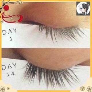 Dưỡng mi dài cho làn mi dài cong giảm gãy rụng mi SkinCareOffcial_Vn | BigBuy360 - bigbuy360.vn