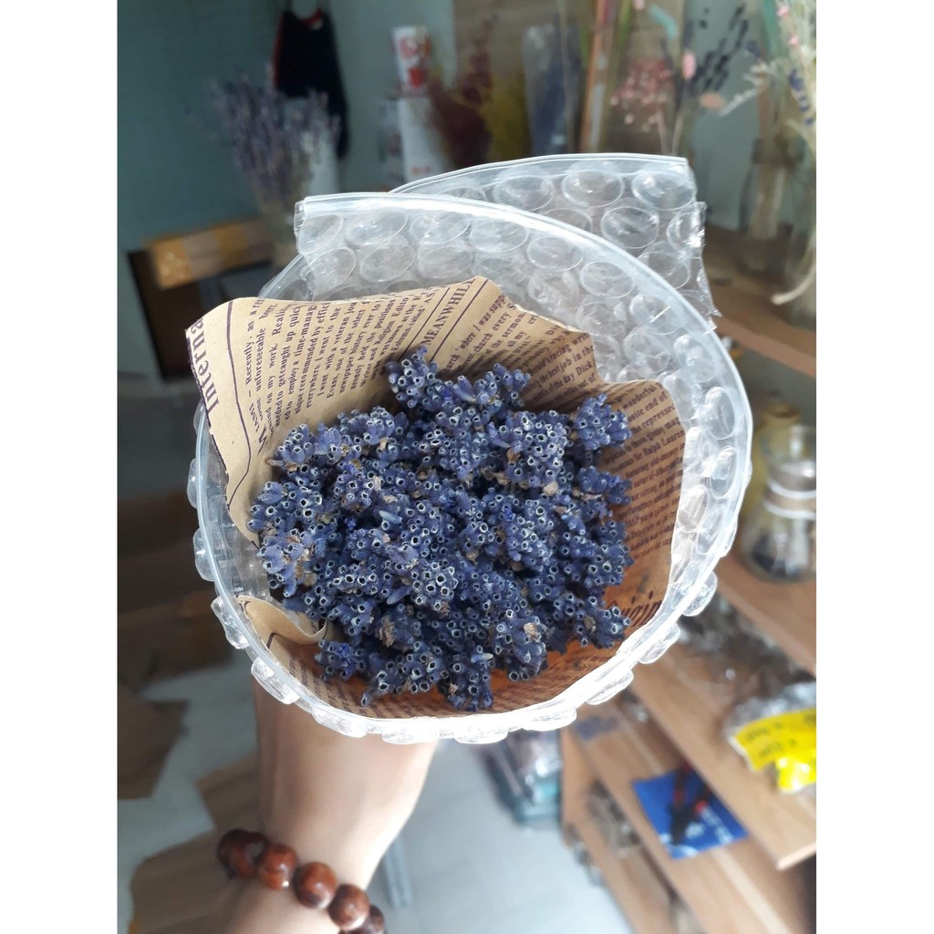 hoa lavender - oải hương-1k/cành ( hoa thật sấy khô)