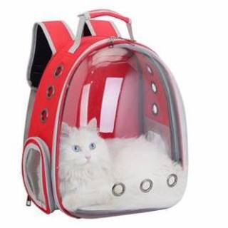 balo vận chuyển chó mèo trong suốt