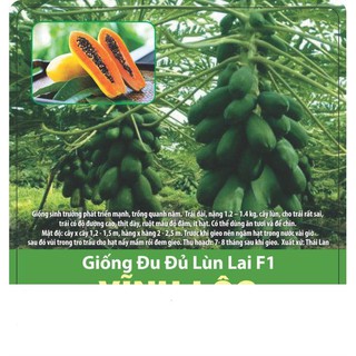 Hạt Giống Đu Đủ Lùn Thái Lan F1 Sai Trái