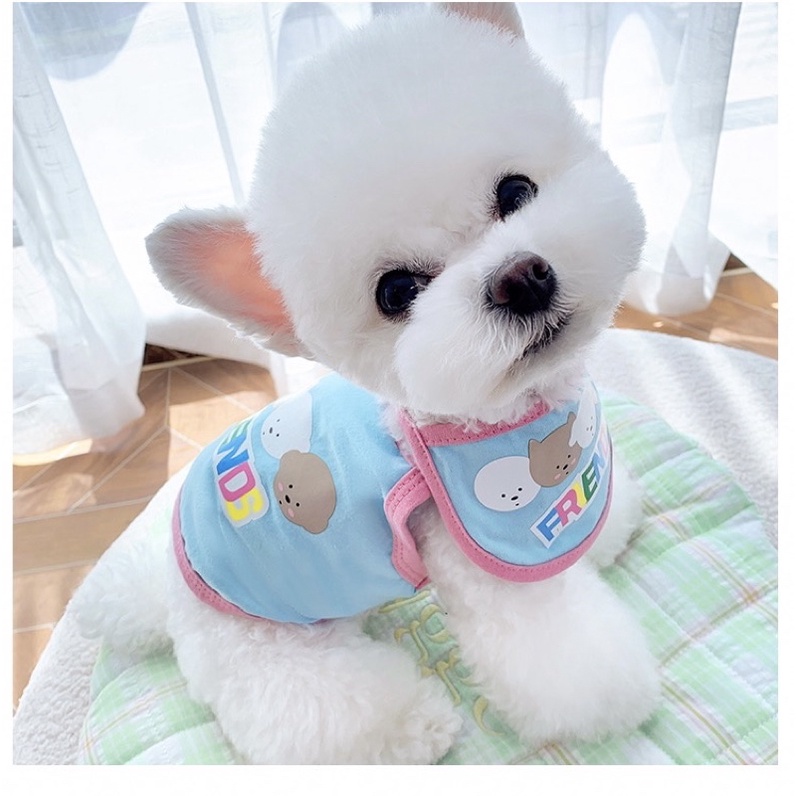 Áo thiết kế cho chó mèo - áo và yếm đeo in chữ dễ thương hàng cao cấp cho thú cưng