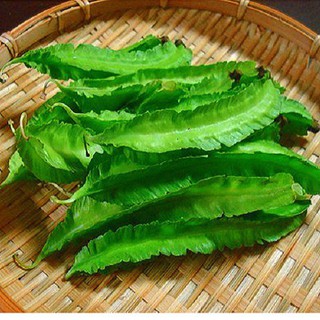 Hạt giống Đậu Rồng (10 gram)