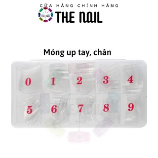 Hộp 500 móng up tay form vuông