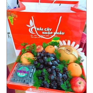 Combo 20 túi Đựng Hoa Quả 3kg
