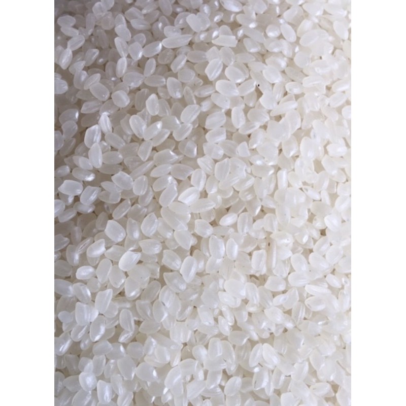 Gạo Nhật JAPONICA bao 10kg bán sỉ ở Hà Nội cơm dẻo và mềm. hàng công ty có hoá đơn đỏ nếu bạn cần | BigBuy360 - bigbuy360.vn