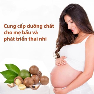 Hạt Mắc Ca Nứt Vỏ - 1kg (2 hộp) - Kèm Đồ Khui [SP]